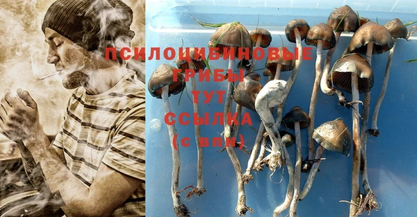 гашиш Зеленодольск