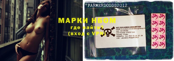 стаф Зерноград