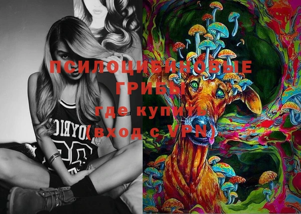 твердый Зеленокумск