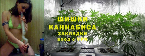 стаф Зерноград