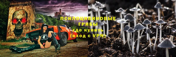 твердый Зеленокумск