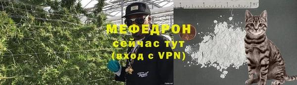 стаф Зерноград