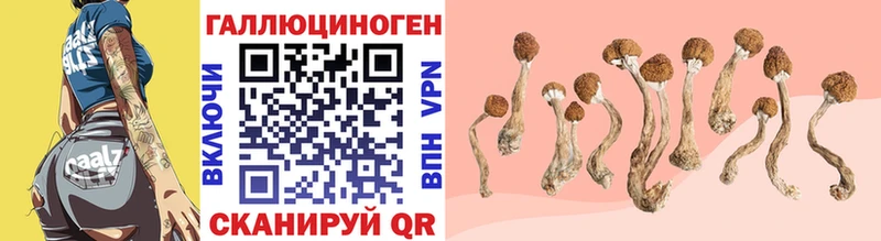 Купить закладки  Североуральск  Галлюциногенные грибы ЛСД 